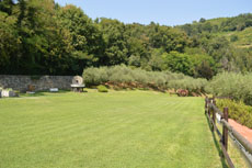 Lory birthday in Val Curone