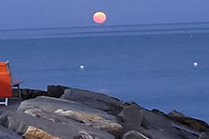 Luglio a San Bartolomeo al mare