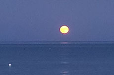 Luglio a San Bartolomeo al mare