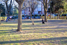 Il maghetto vaga nel bosco facendo magie