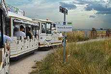 Cesenatico 2021
