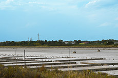 Cesenatico 2021