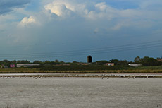 Cesenatico 2021