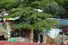 Vista dall'alto della monorotaia