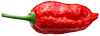 Naga Morich