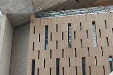Grande Museo Egizio a Giza

