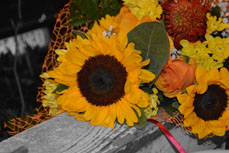 Fiori bene auguranti.