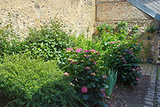 Angolo fiorito a Honfleur